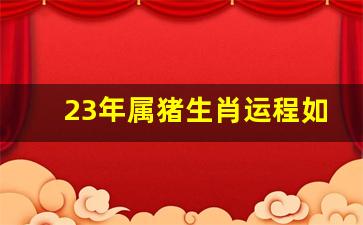 23年属猪生肖运程如何-属猪2023年运势及运程 2023年属猪人的全年每月运势
